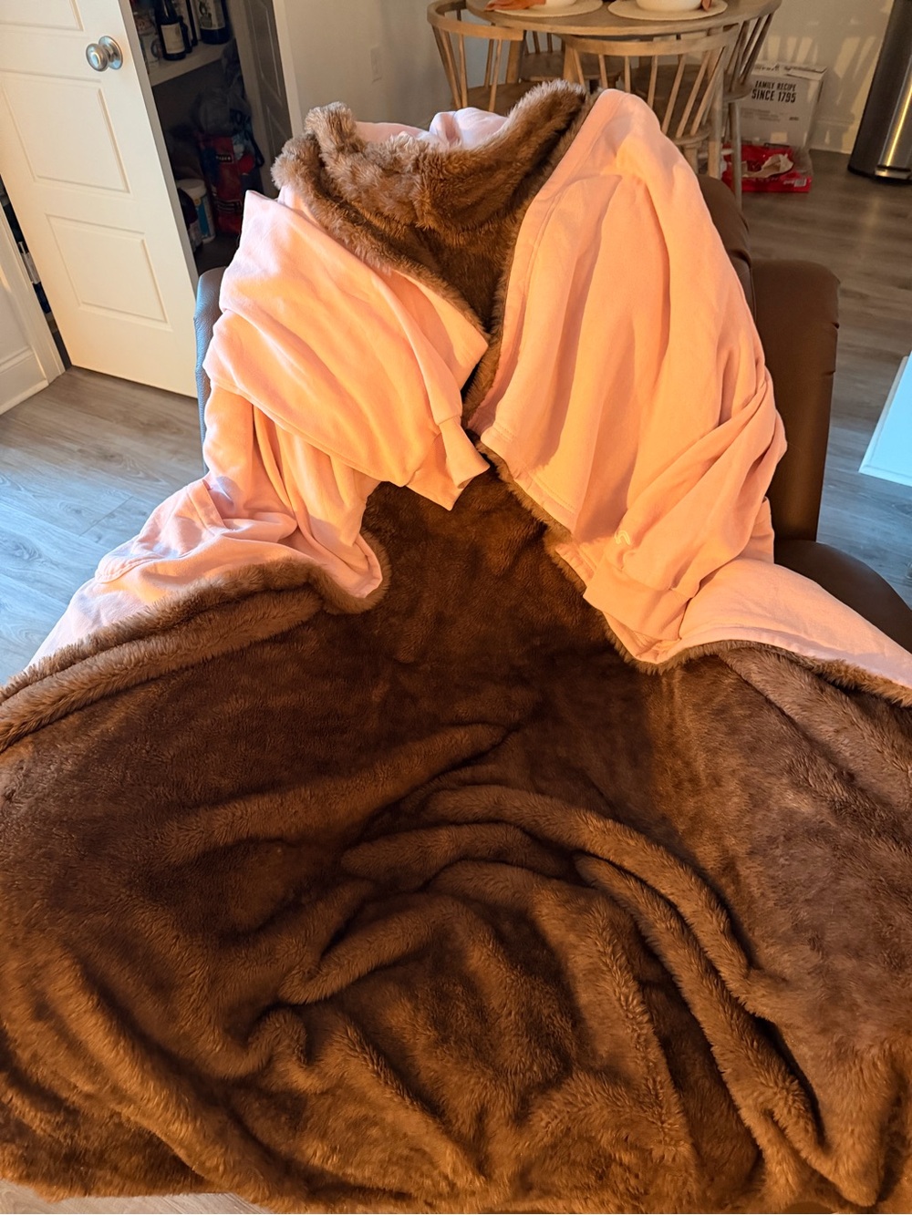 Hollister x Target Pink Hoodie Blanket